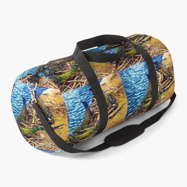 Item preview, Iguanas In Montanita, Ecuador II designed and sold by alabca.