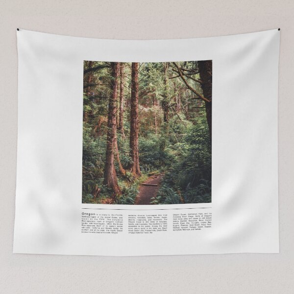 Item preview, Oregon Coast Travel Photography Minimalism-Coastal Forest designed and sold by anthonylonder.