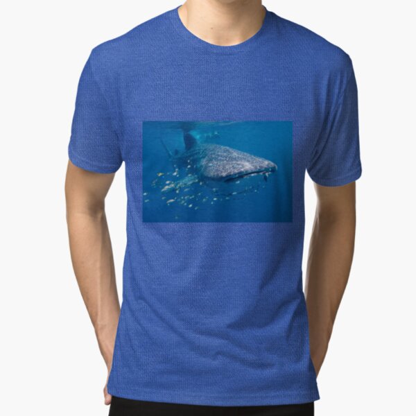 Whale Shark, Ningaloo Reef, Western Australia Tri-blend T-Shirt
