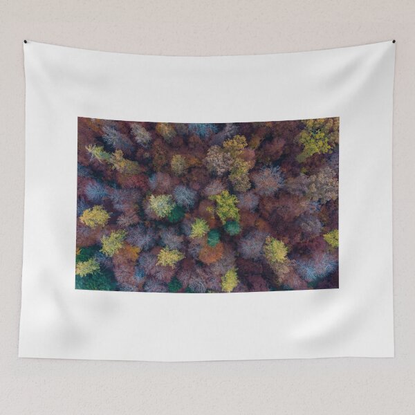 Item preview, Trees in the forest from a bird's eye view designed and sold by dieterich.