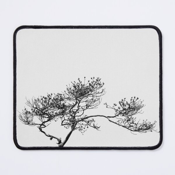 Item preview, 25.2.2022: Pine Tree II designed and sold by Petri Volanen.