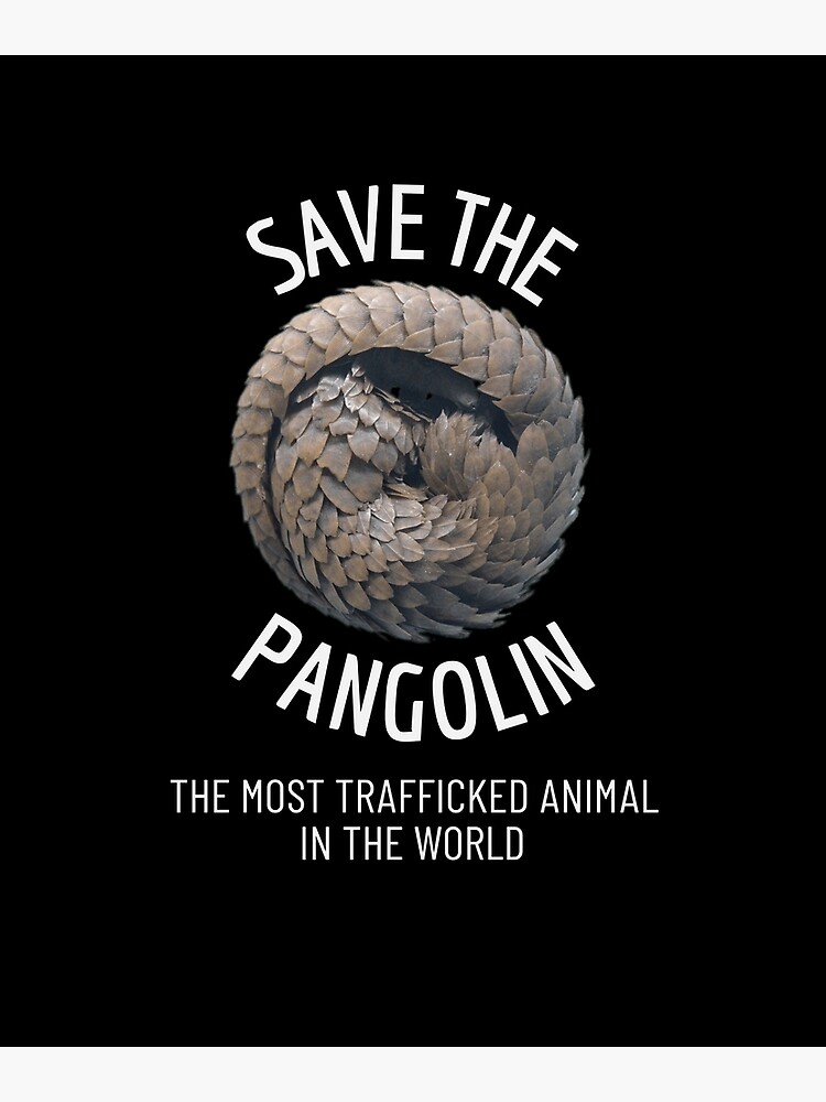 Disover Save The Pangolin Premium Matte Vertical Poster
