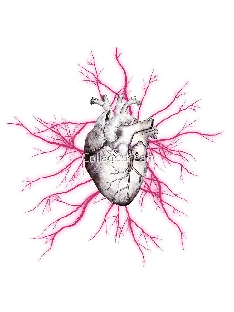 Camiseta para niños «Corazón humano vintage y venas, arterias, sangre, arte ilustrativo, oscuro» de Collagedream | Redbubble Camiseta para niños «Corazón humano vintage y venas, arterias, sangre, arte ilustrativo, oscuro» de Collagedream | Redbubble