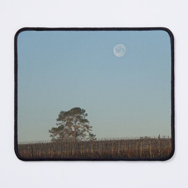 Item preview, Montady moon. designed and sold by Paul Pasco.