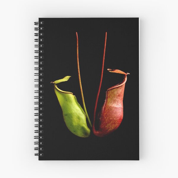 Item preview, Nepenthes tropical pitcher plant botanical drawing carnivorous plant designed and sold by Carnivorous  Plant Club ⭐⭐⭐⭐⭐.
