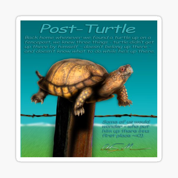 Post Turtle Sticker