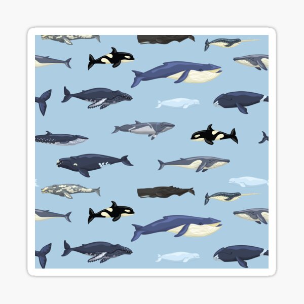 Artikel-Vorschau von Kawaii, Niedlich, Blauwal, Fisch, Baby, Child,, Antarktis, Blauwal, Seamless, Pattern,, Marine, Leben, Wale, designt und verkauft von DesignVertex.