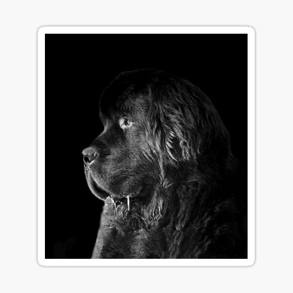 Item preview, Zane Head Shot designed and sold by Christine Mullis.