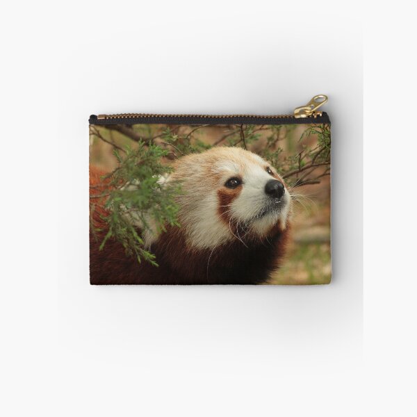 Item preview, Red Panda designed and sold by Andrea Cowart.