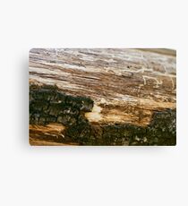 Log Canvas Print