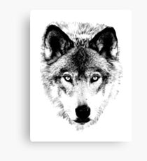 Wolf Face. Digital Wildlife Image. Canvas Print