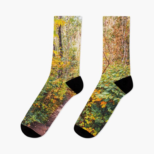 Item preview, North Shore Forest-Fall Colors in Minnesota designed and sold by anthonylonder.