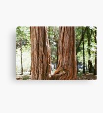 Dual Life Canvas Print