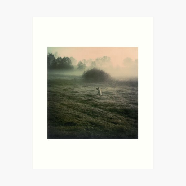 Item preview, Andrei Tarkovsky - Polaroids #1 designed and sold by slowrotation.