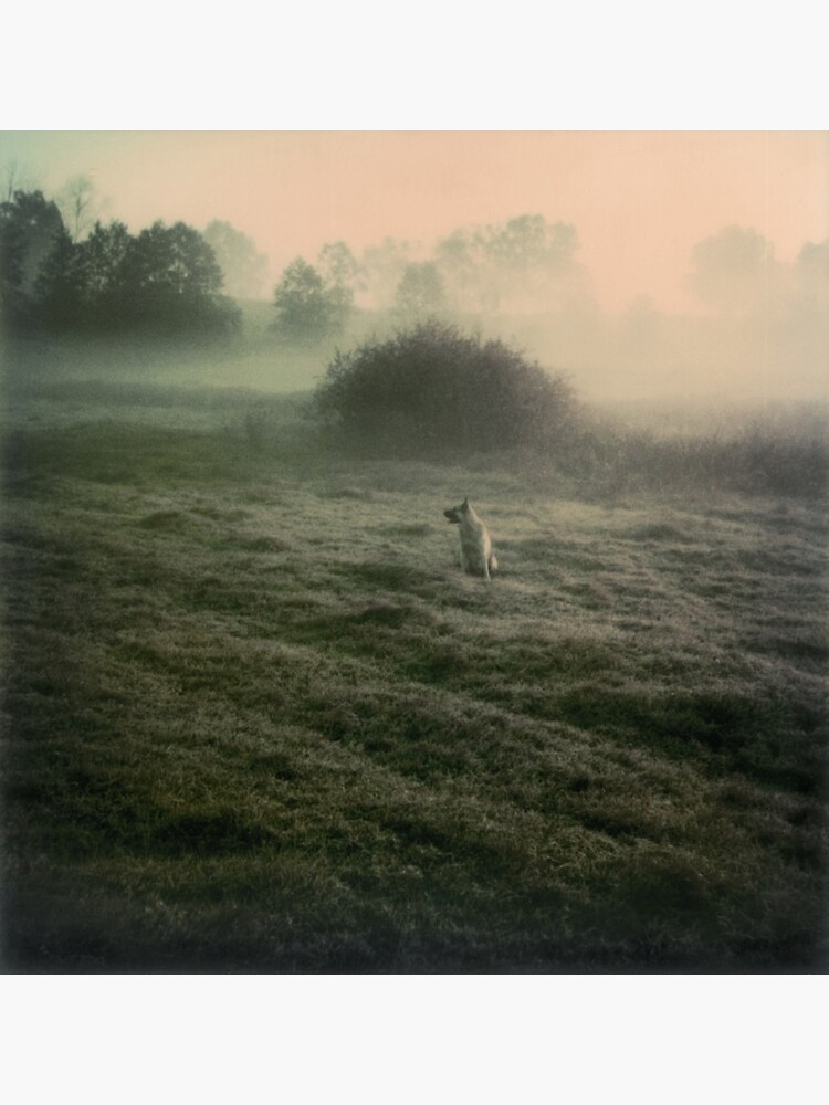 Andrei Tarkovsky - Polaroids #1