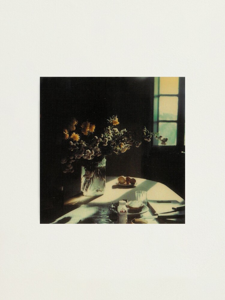 Andrei Tarkovsky - Polaroids #2