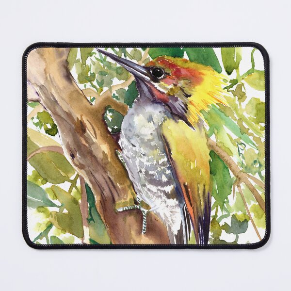 Item preview, Yellow-Naped Woodpecker designed and sold by surenart.