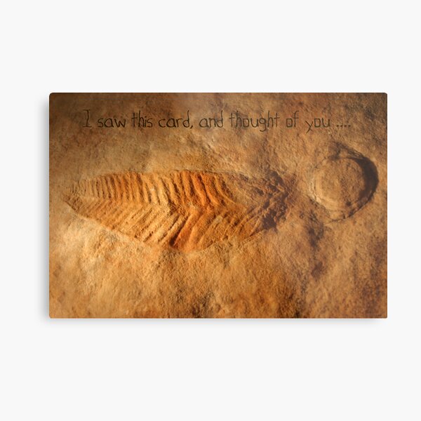 Fossil Metal Print