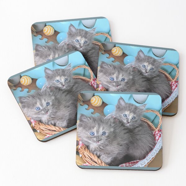 Item preview, Blue grey Mainecoon ragdoll kittens designed and sold by Fluffycat2020.