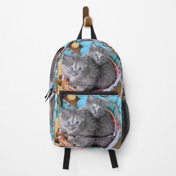 Item preview, Blue grey Mainecoon ragdoll kittens designed and sold by Fluffycat2020.