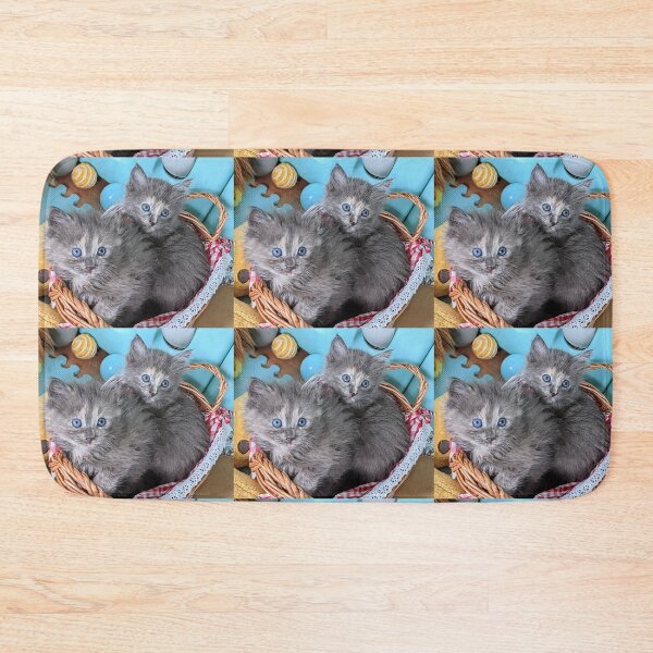 Item preview, Blue grey Mainecoon ragdoll kittens designed and sold by Fluffycat2020.