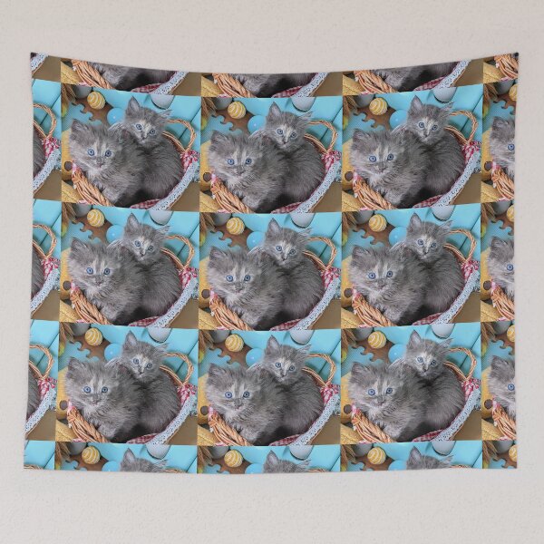 Item preview, Blue grey Mainecoon ragdoll kittens designed and sold by Fluffycat2020.
