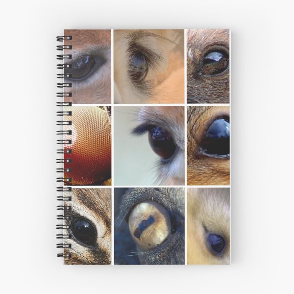 Item preview, Animal Eyes designed and sold by Betsy Seeton.