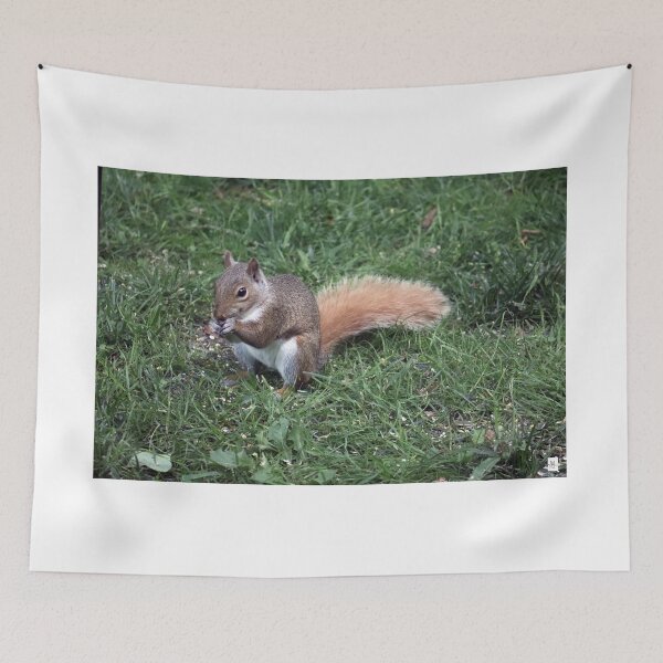 Item preview, Squirrel having lunch. designed and sold by MADowdPhotos.