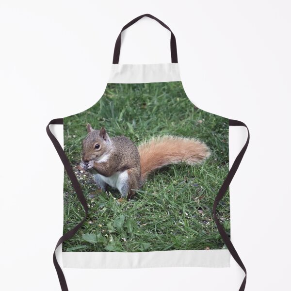 Item preview, Squirrel having lunch. designed and sold by MADowdPhotos.