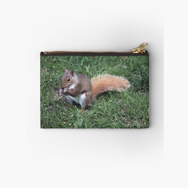 Item preview, Squirrel having lunch. designed and sold by MADowdPhotos.