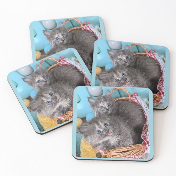 Item preview, Blue grey Mainecoon ragdoll kittens designed and sold by Fluffycat2020.