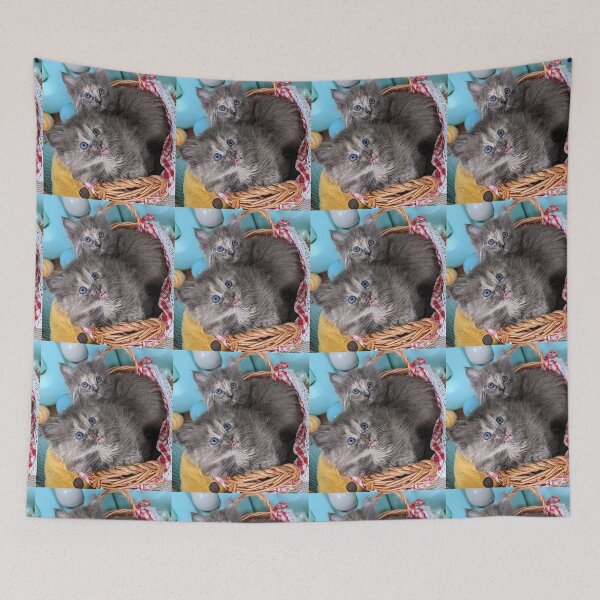 Item preview, Blue grey Mainecoon ragdoll kittens designed and sold by Fluffycat2020.