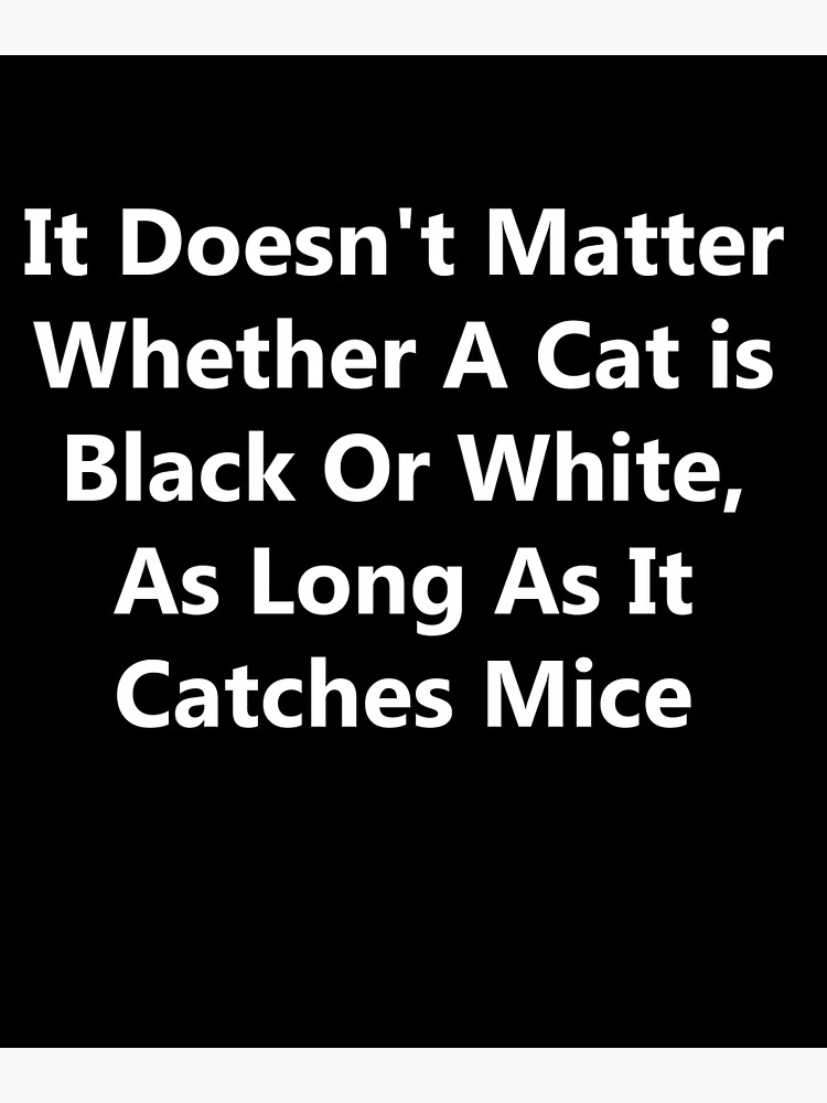 "black cat or white cat, if it can catch mice it's good cat, deng