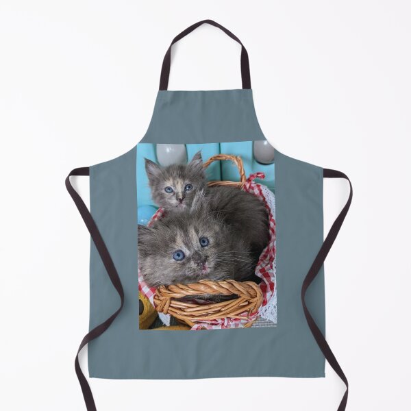Item preview, Blue grey Mainecoon ragdoll kittens designed and sold by Fluffycat2020.