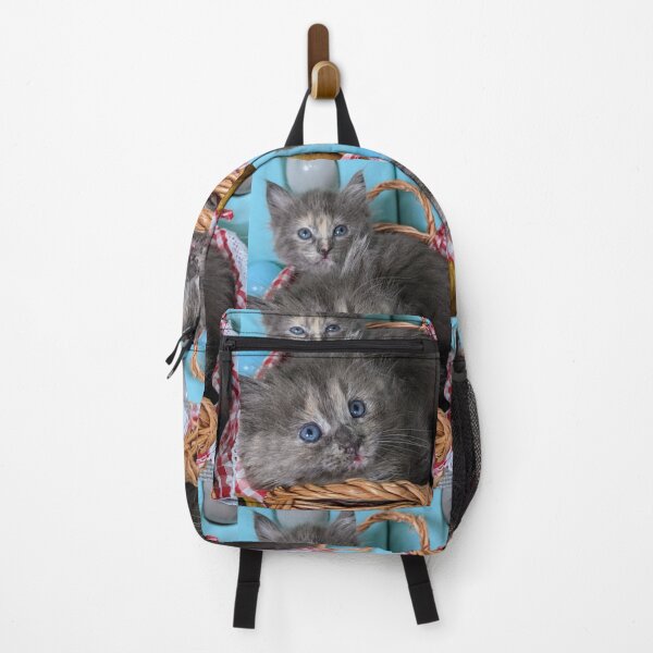 Item preview, Blue grey Mainecoon ragdoll kittens designed and sold by Fluffycat2020.