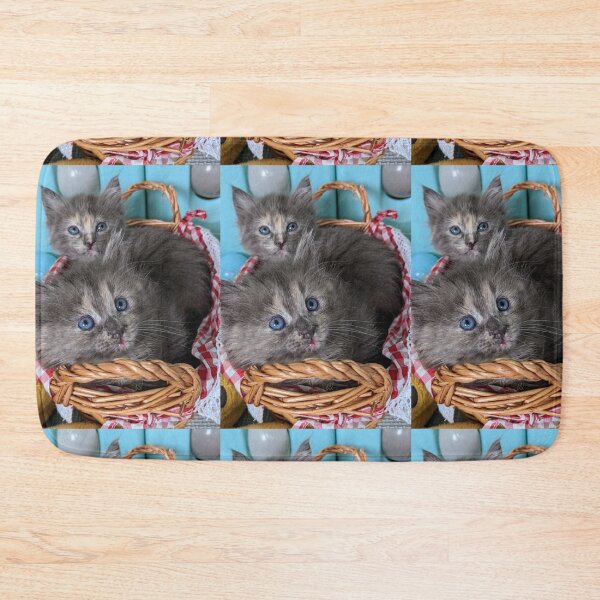 Item preview, Blue grey Mainecoon ragdoll kittens designed and sold by Fluffycat2020.