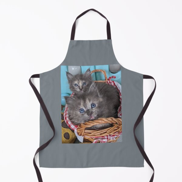 Item preview, Blue grey Mainecoon ragdoll kittens designed and sold by Fluffycat2020.