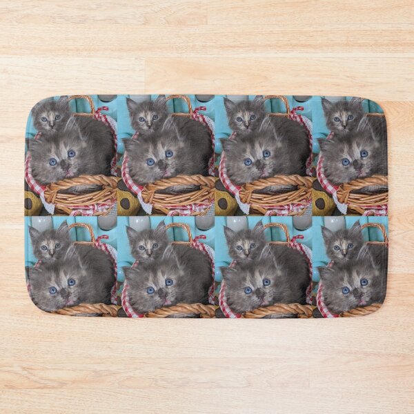Item preview, Blue grey Mainecoon ragdoll kittens designed and sold by Fluffycat2020.