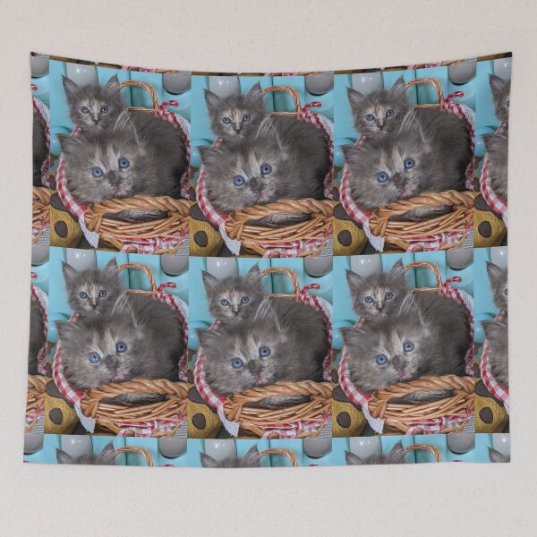 Item preview, Blue grey Mainecoon ragdoll kittens designed and sold by Fluffycat2020.