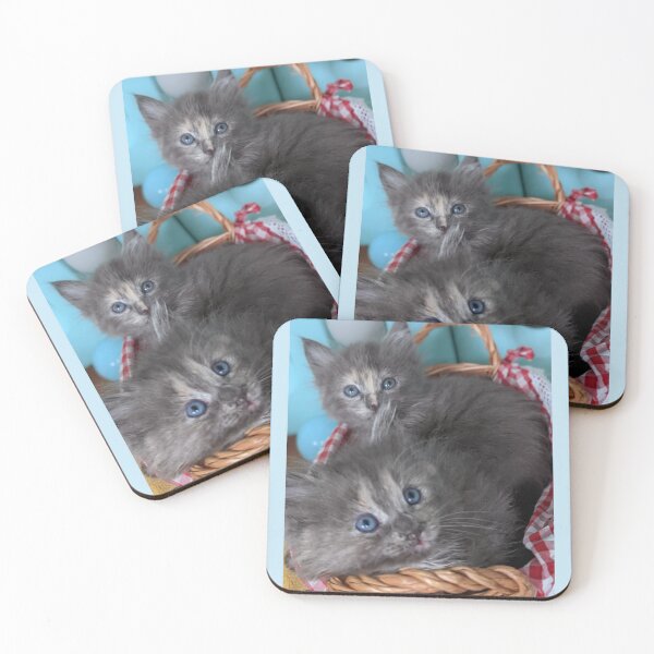 Item preview, Blue grey Mainecoon ragdoll kittens designed and sold by Fluffycat2020.