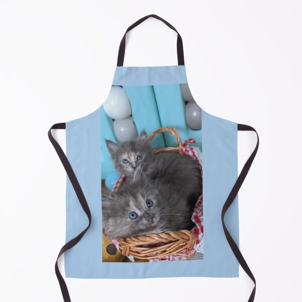 Item preview, Blue grey Mainecoon ragdoll kittens designed and sold by Fluffycat2020.