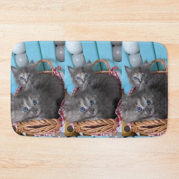 Item preview, Blue grey Mainecoon ragdoll kittens designed and sold by Fluffycat2020.