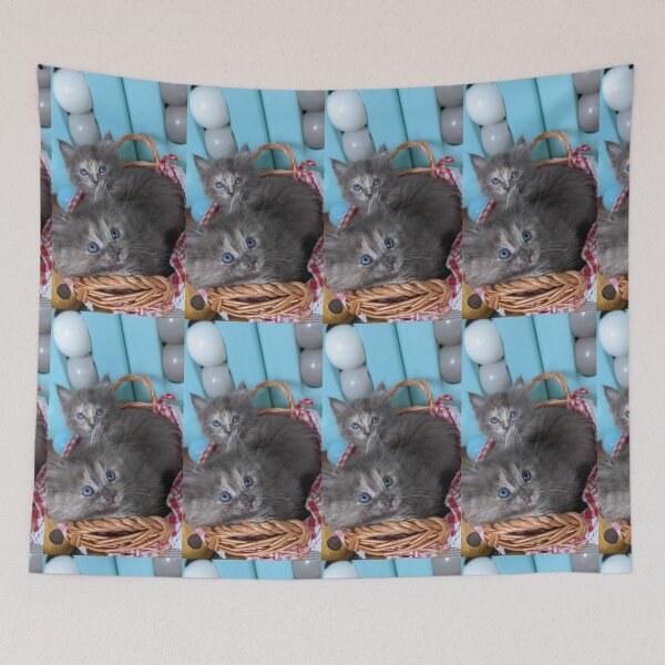 Item preview, Blue grey Mainecoon ragdoll kittens designed and sold by Fluffycat2020.