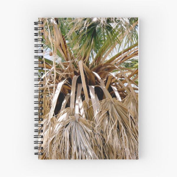 Item preview, Palm Leaves designed and sold by Shulie1.