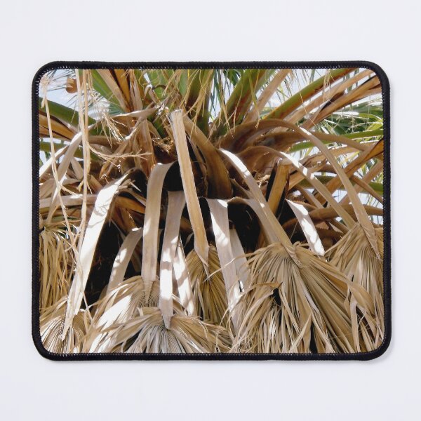 Item preview, Palm Leaves designed and sold by Shulie1.
