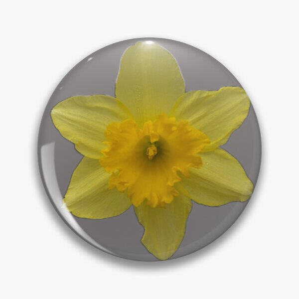Item preview, Daffy Daffodils  designed and sold by HippyFlowers.