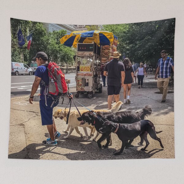 Item preview, Dog Sitter, Central Park, Manhattan, New York City  designed and sold by eleonoraingrid.