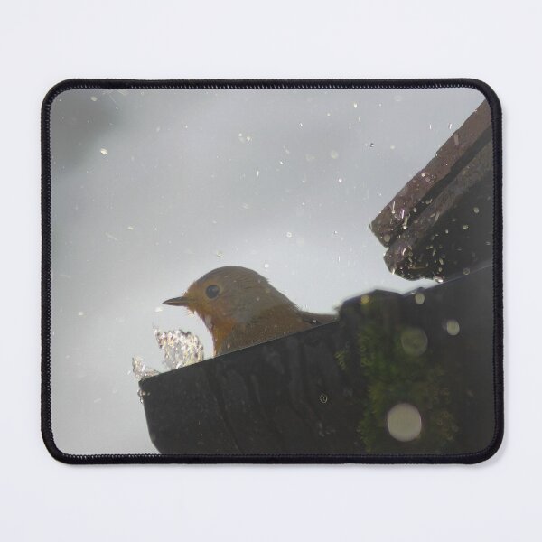 Item preview, Robin's Bath Time designed and sold by adam-bullock.