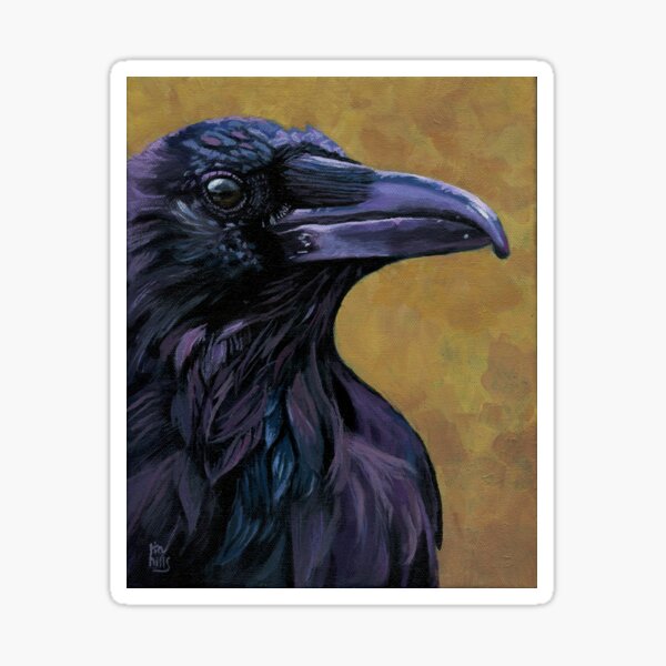 Raven wildlife bird painting Sticker