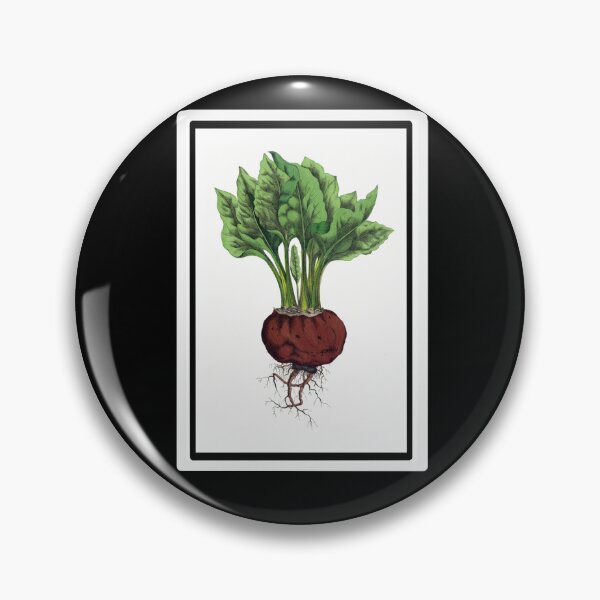 Item preview, Vintage Red Beet Drawing from the 1800's designed and sold by MountMercantile.
